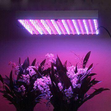 14W LED Plant Grow Light/Panel R&G - Chinafactory.com