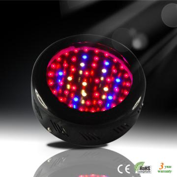 50W LED Grow Lighting - Manufacturer Chinafactory.com