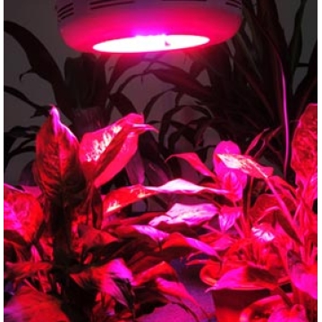 90W Plant Growth Light - Manufacturer Chinafactory.com