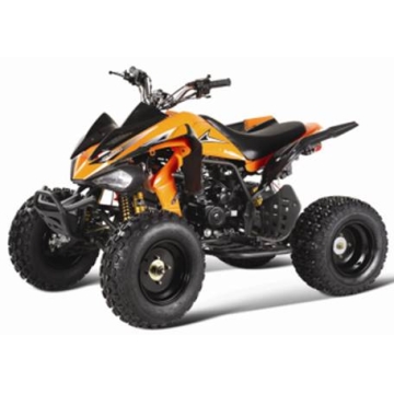 ATV ;250CC & EEC- Manufacturer Supplier Chinafactory.com ATV ;250CC & EEC- Manufacturer Supplier Chinafactory.com
