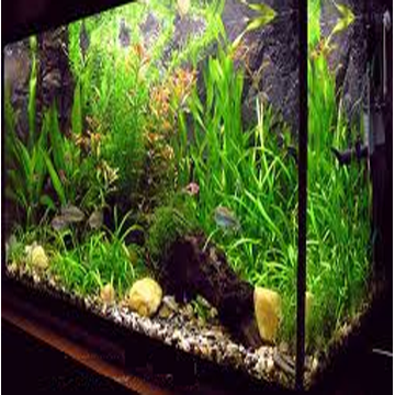 Best Waterproof Flexible Lighting Aquarium - Chinafactory.com Best Waterproof Flexible Lighting Aquarium - Chinafactory.com