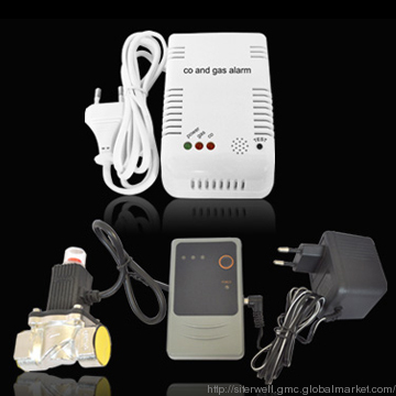 Co and Gas Combined Detector