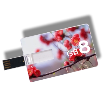 Customized Logo Card Shape USB Stick - Chinafactory.com