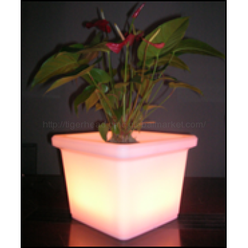 Decorative Lighting, LED Flower Pot - Chinafactory.com