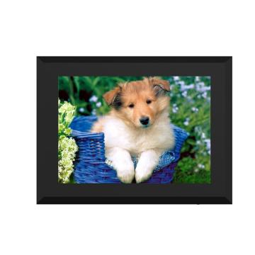 Digital Photo Frame - Manufacturer Supplier Chinafactory.com