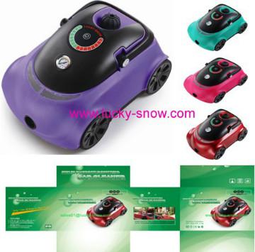 Domestic steam automative cleaner