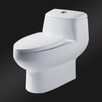 Dual Flush Toilet Bowl