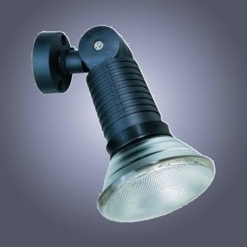 E27 PAR38 120W Outdoor Garden Lighting - Chinafactory.com