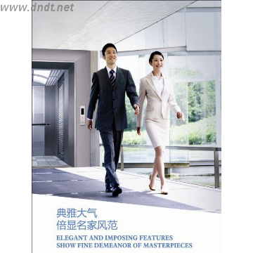 Fast Commercial Passenger Lift / Passenger Elevator