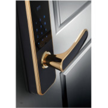 Finger Scan Lock with Touch Keypad