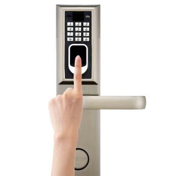 Fingerprint Lock with hotel style mortise