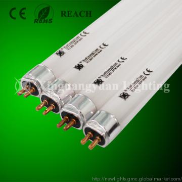 Fluorescent Tube