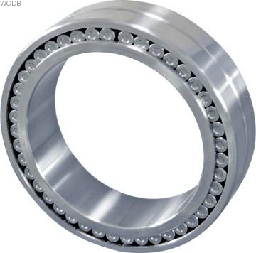 Full complement cylindrical roller bearing