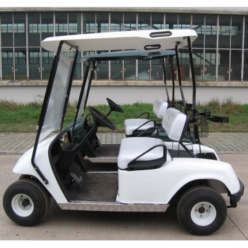 Gas Golf Cart (Axis Driver) - Manufacturer Chinafactory.com
