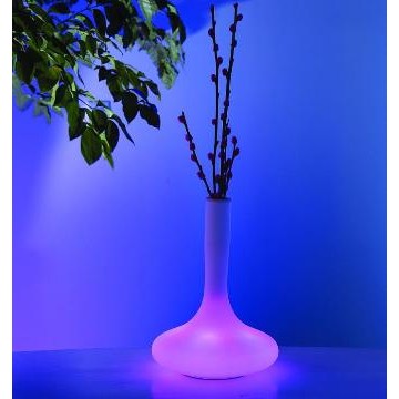 Glass Cover LED Vase Light - Manufacturer Chinafactory.com