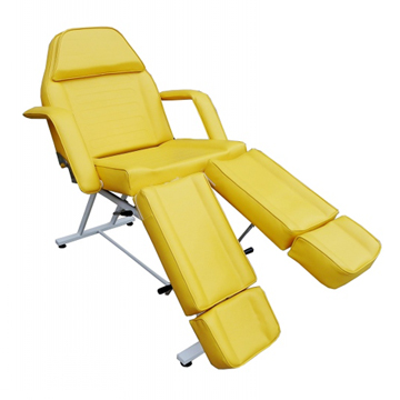 HOT SALE Salon Furniture Facial Bed