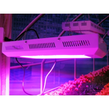 High Efficency Module Design Plant Grow Lights- Chinafactory.com