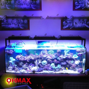 High Power 600W LED Aquarium Grow Light- Chinafactory.com