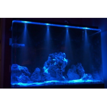 High Power Fish Tank Light - Manufacturer Chinafactory.com