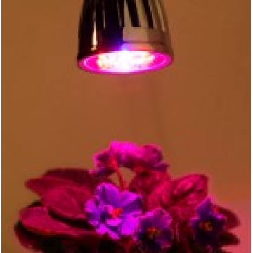 High Power LED Grow Lamp - Manufacturer Chinafactory.com High Power LED Grow Lamp - Manufacturer Chinafactory.com