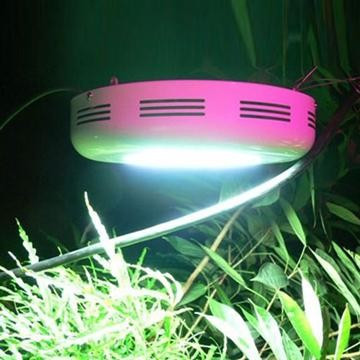 High Power LED Grow Lights - Manufacturer Chinafactory.com