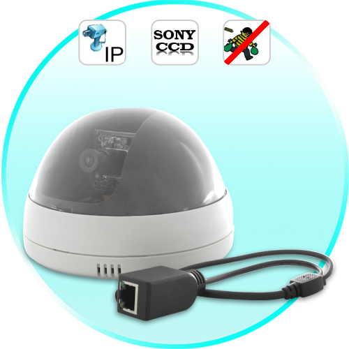 IP Security Camera (Sony CCD, Ceiling Mount)