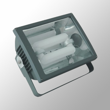 Induction Lamp for Floodlight - Manufacturer Chinafactory.com