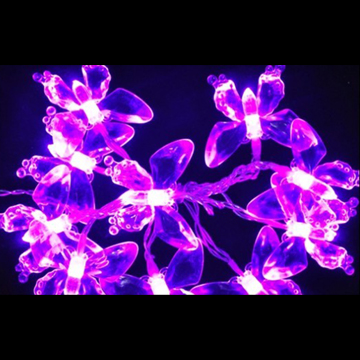LED Acrylic Butterfly Decorative Lighing - Chinafactory.com