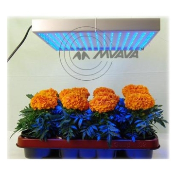 LED Grow Panel Light - Manufacturer Chinafactory.com