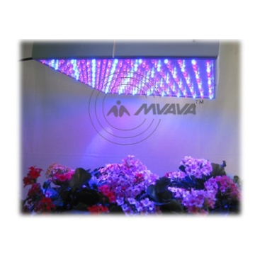 LED Grow Panel Lamp - Manufacturer Chinafactory.com