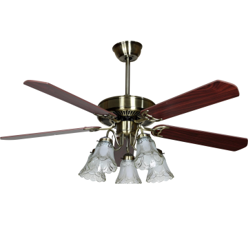 Luxury Decorative Ceiling Fan