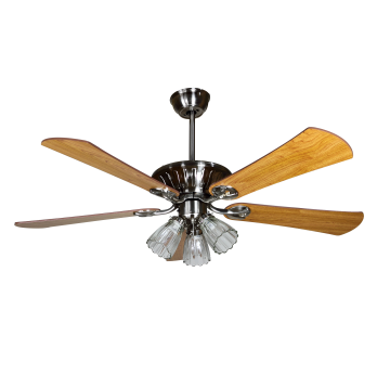 Luxury Decorative Ceiling Fan