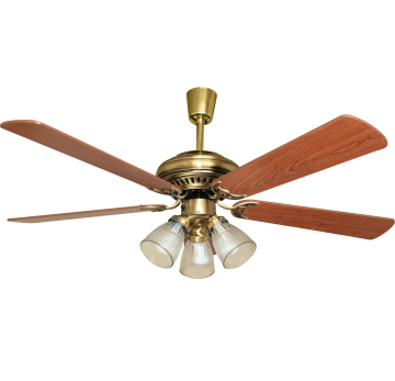 Luxury Decorative Ceiling Fan