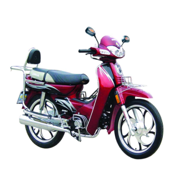 Motorcycle & Moped (JD100-3)