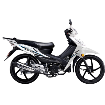 NEW MOTOCICLETA 110CC MOTO CUB WY110-5(White)