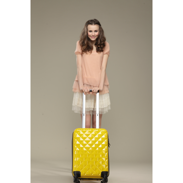 New Leopard Trolley Luggage Bags - Chinafactory.com