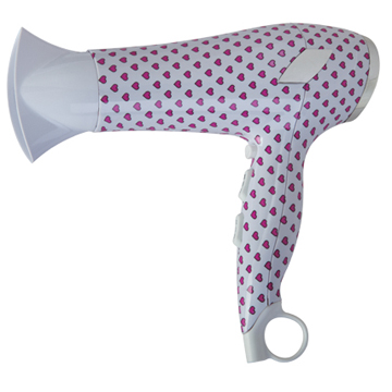 Personal Care About High Power Hair Dryer