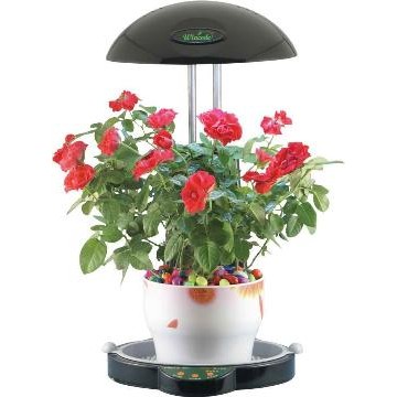 Plant Growing Lamp - Manufacturer Supplier Chinafactory.com