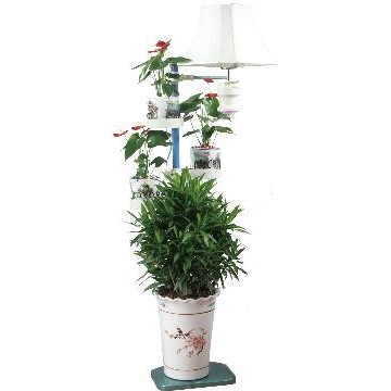 Plant Growing Lamp - Manufacturer Supplier Chinafactory.com