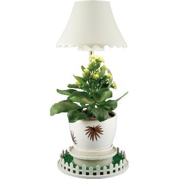 Plant Growing Lamp - Manufacturer Supplier Chinafactory.com