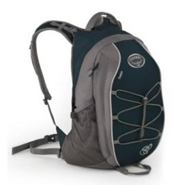 Polyester Padded Backpack School bag - Chinafactory.com