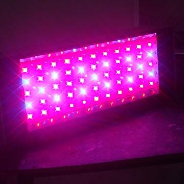 Procyon 100 LED Grow Light - Manufacturer Chinafactory.com