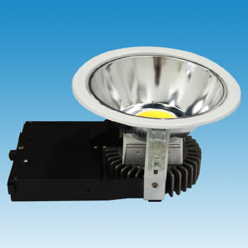 Spot Maxi Down Light - Manufacturer Chinafactory.com