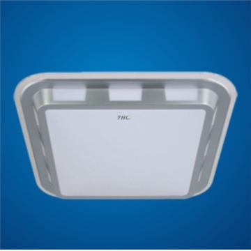 TL-BL Series Ceiling Lamp - Manufacturer Chinafactory.com