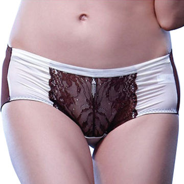 Womens Sexy Control Panty Made of Nylon and Spandex