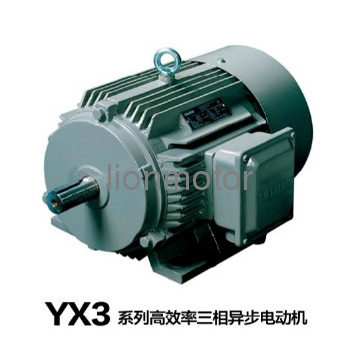YX3 SERIES HIGH-EFFICIENCY INDUCTION MOTOR